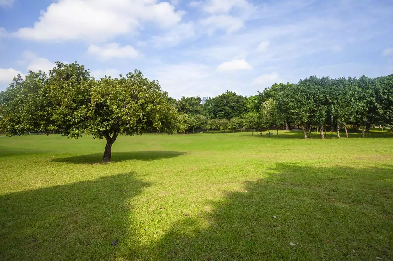 在线周易八字算命免费 八字算命时辰算法