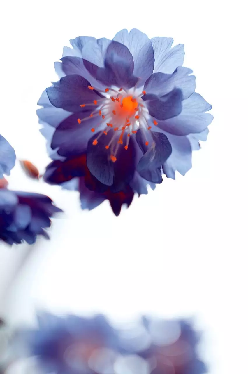 算命不求人免费算命婚姻 农历免费算命不求人