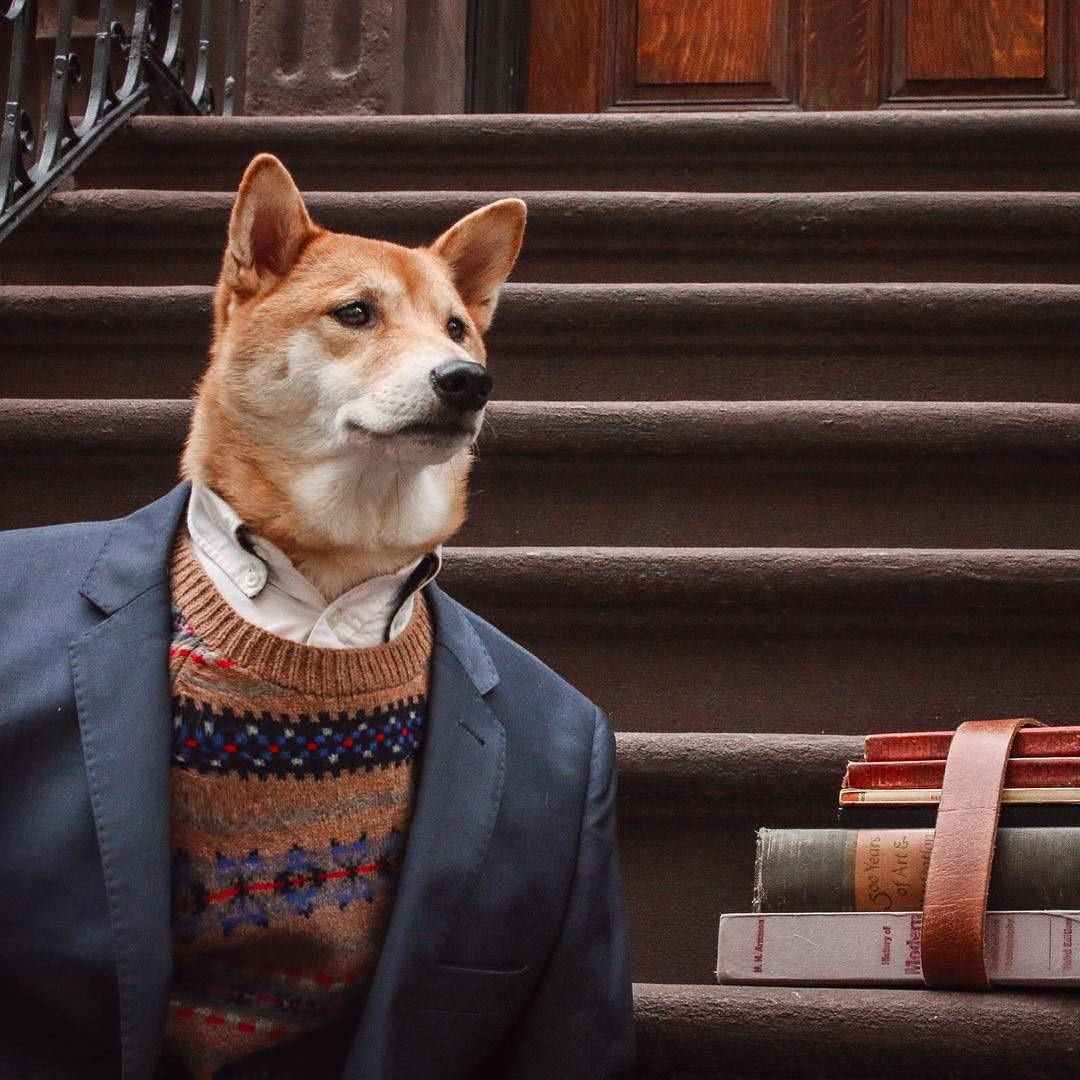 3、为什么天秤男狗都不处:双鱼（女） 天秤（男） 都属狗