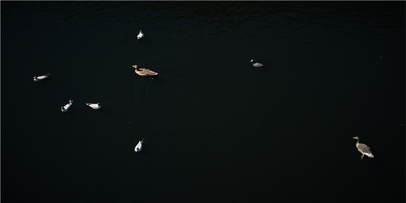 正所谓母子连心，胎梦其实是生男生女的暗示，孕妈你都读懂了吗？