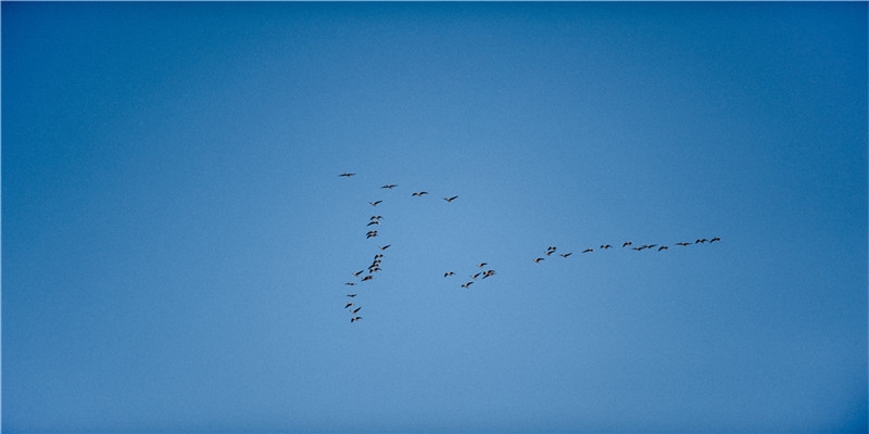 解梦：自己的亲人有很多，梦见谁会有什么寓意？