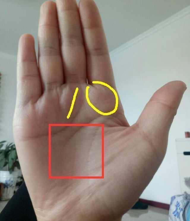 3、女人富贵命罕见手相:最全最稀少最罕见的手相是哪种