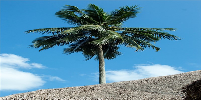 梦见自己重返学生时代？为什么会做这样的梦？