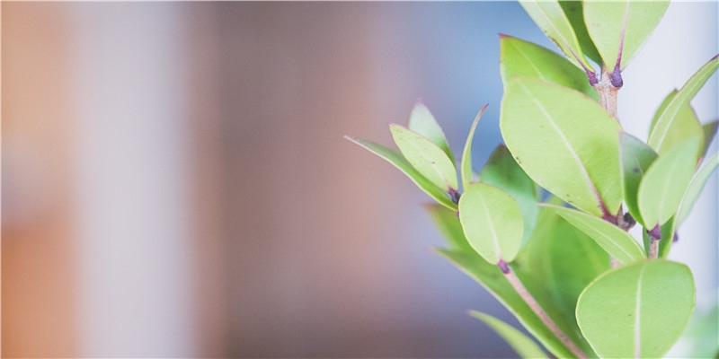 超准!预示已婚的你不久会怀孕的梦境!