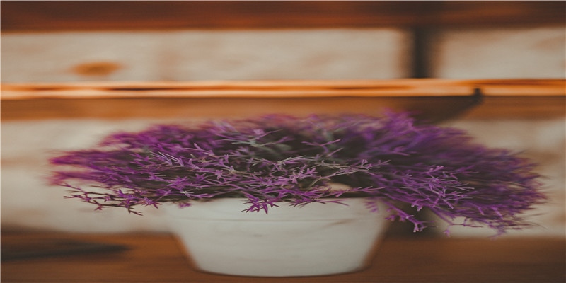 正所谓母子连心，胎梦其实是生男生女的暗示，孕妈你都读懂了吗？