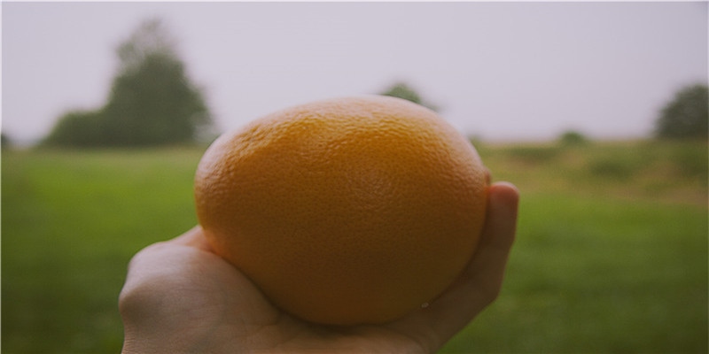 当你梦到狗狗时，你梦到的究竟是什么……