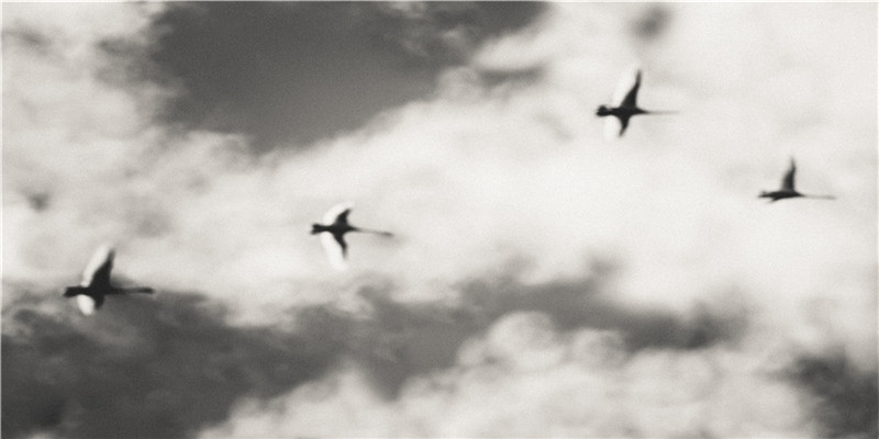 超准!预示已婚的你不久会怀孕的梦境!