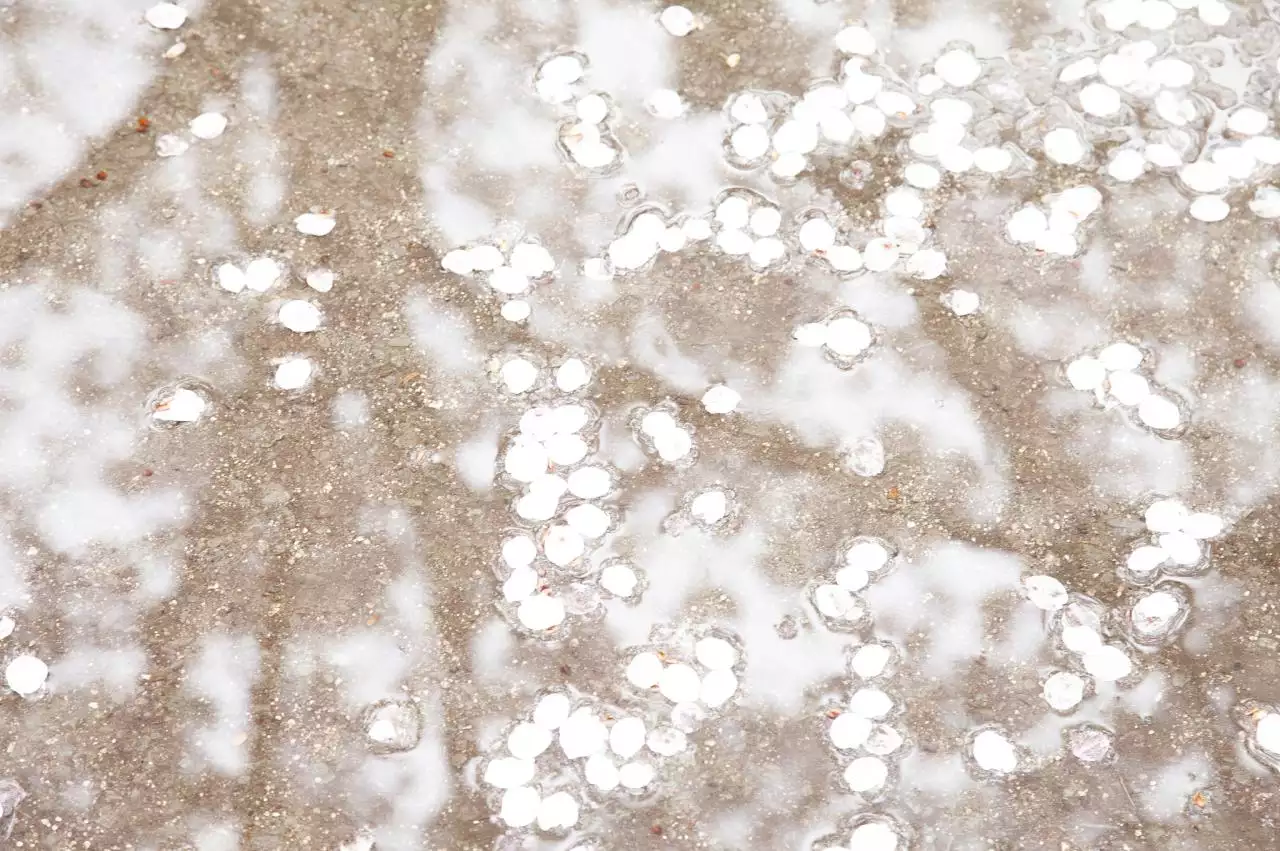 能让水瓶男喜欢的女人 让水瓶男终生难忘女人