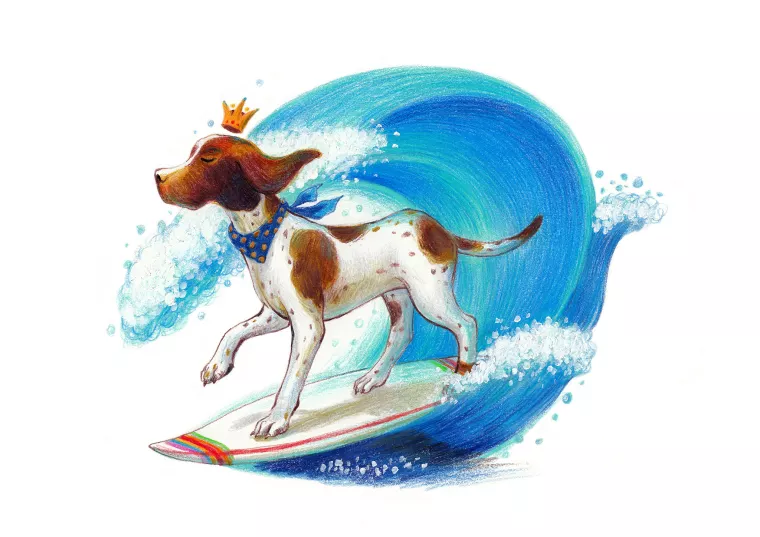 4年属狗人注定的婚姻