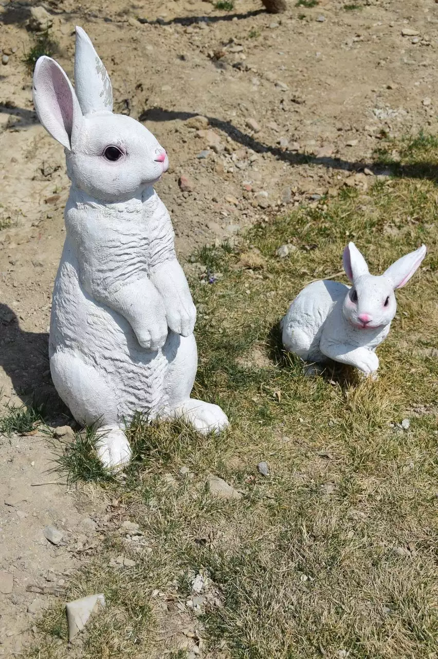 土字头生肖是什么生肖 什么动物代表圣贤