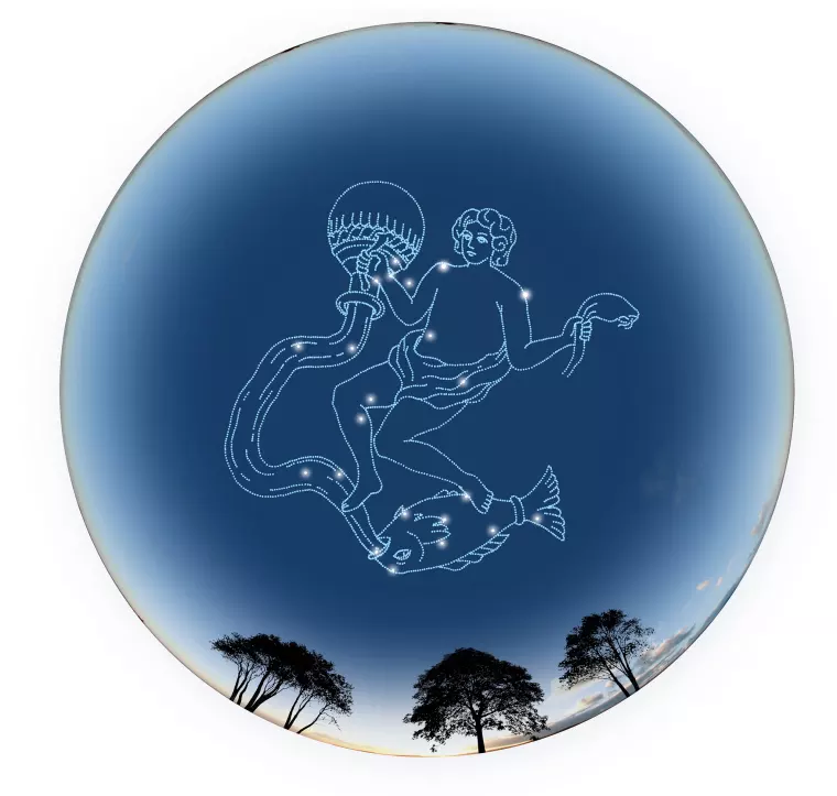 摩羯座女的外表特点 摩羯座长大有钱吗