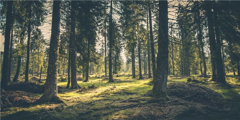 2020年生肖属猴人农历四月宜订婚黄道吉日，挑选这8天给您