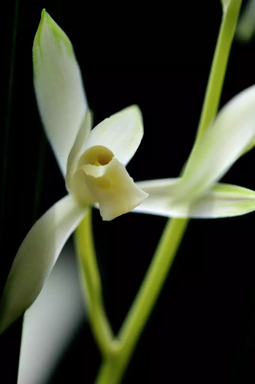 平躺下看男女,很准哟 怀孕肚型看男女准确率