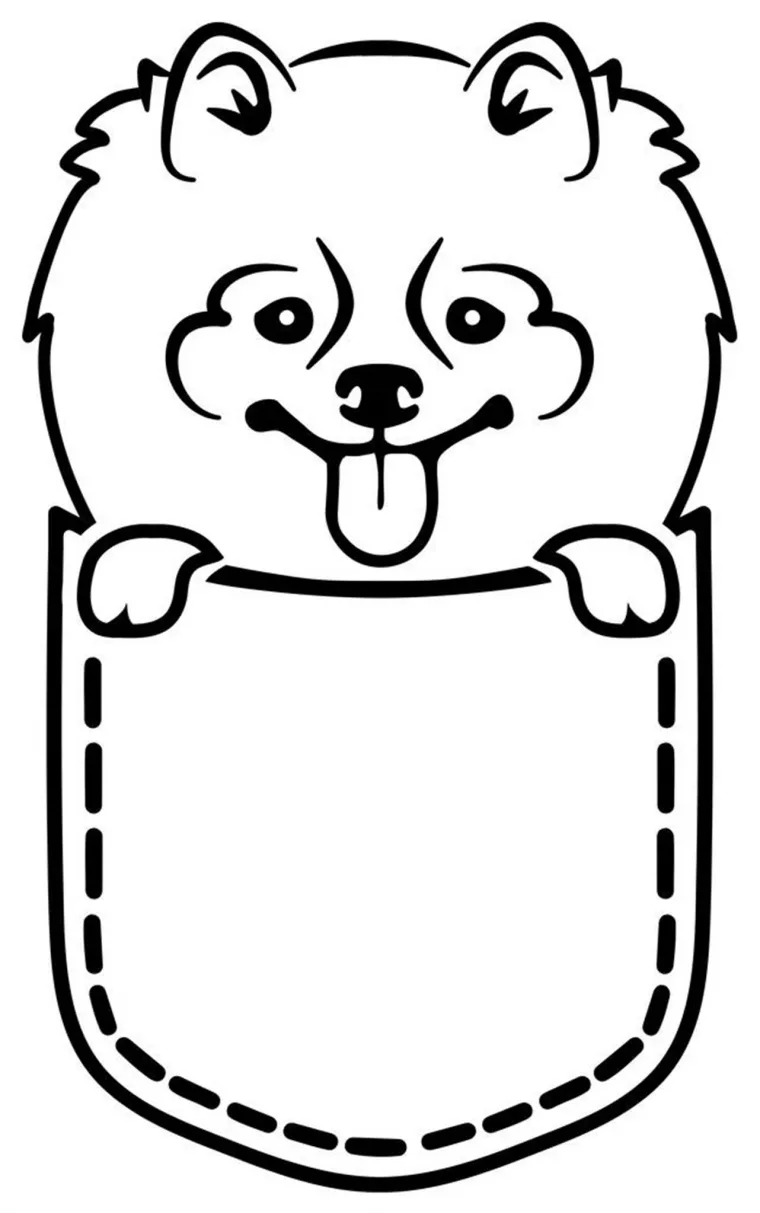 970年属狗未来5年运势