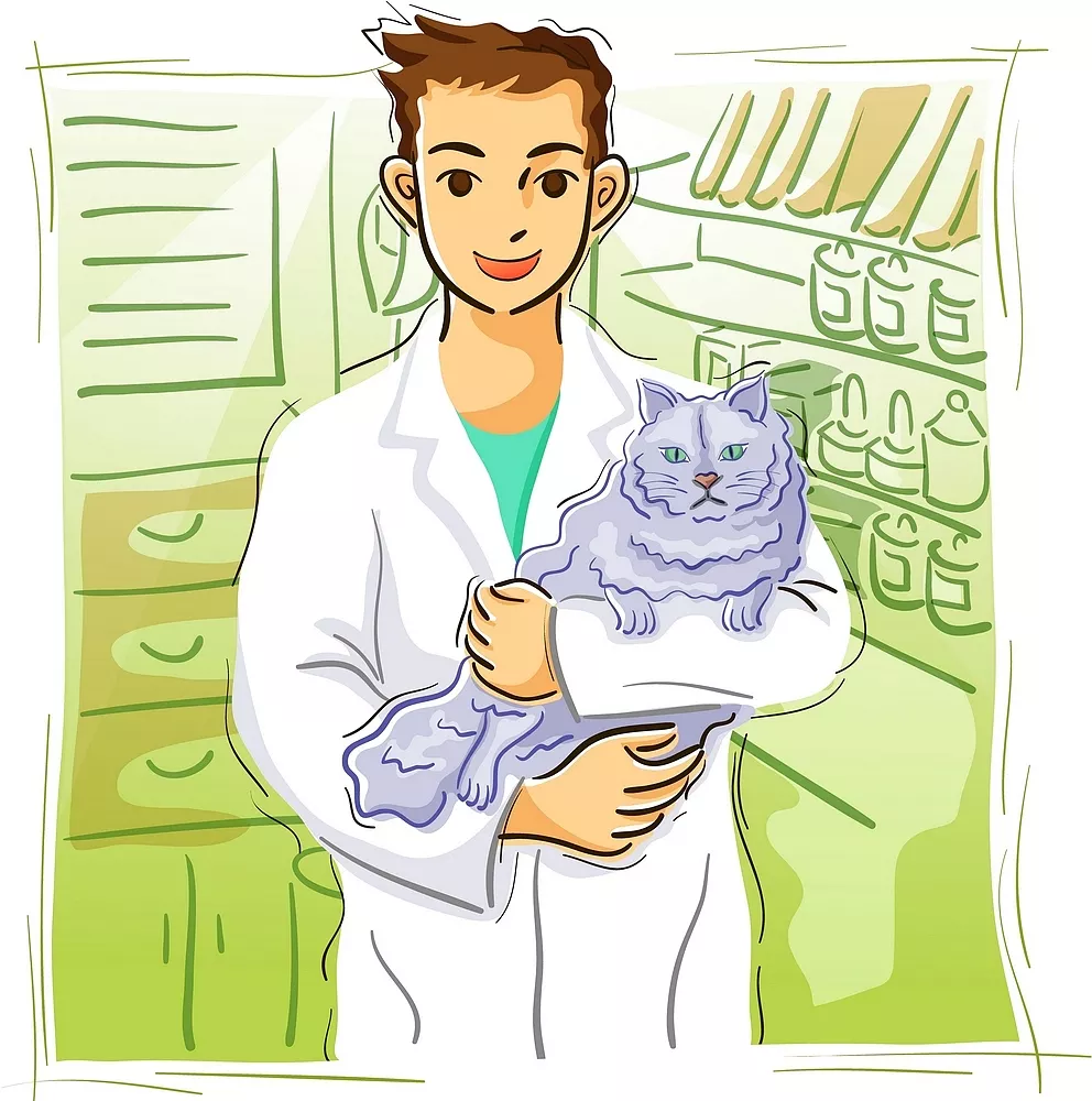 算自己什么时候能脱单 什么时候能暴富