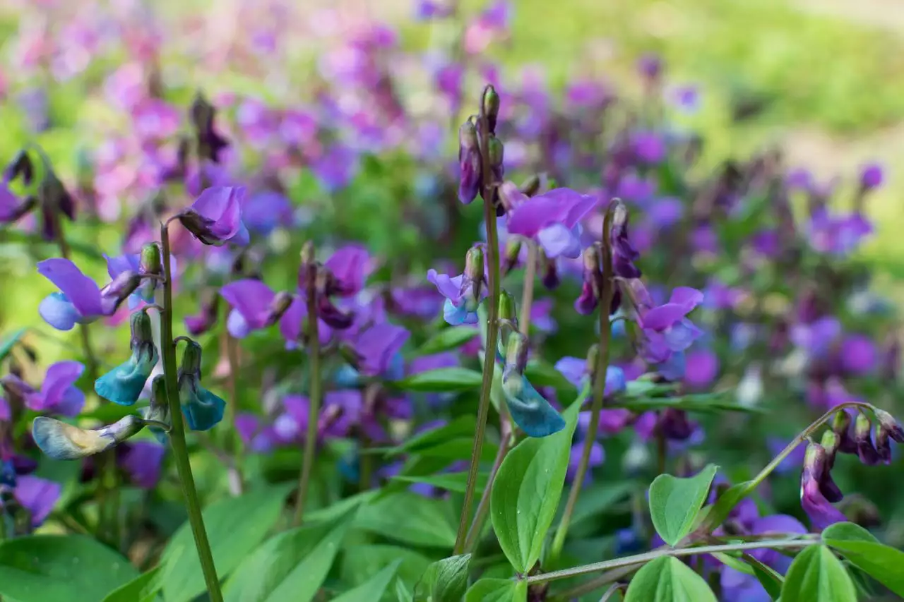 想查看一下自己的财运如何 如何知道自己有没有财运