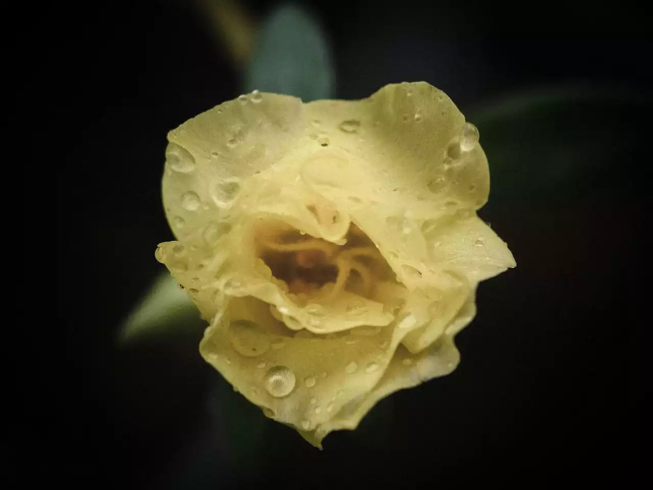 新生儿取名字生辰八字 取名有什么讲究和禁忌