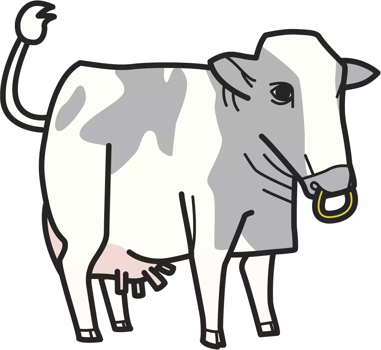 十二生肖每周每日运势 十二生肖今日运势如何?