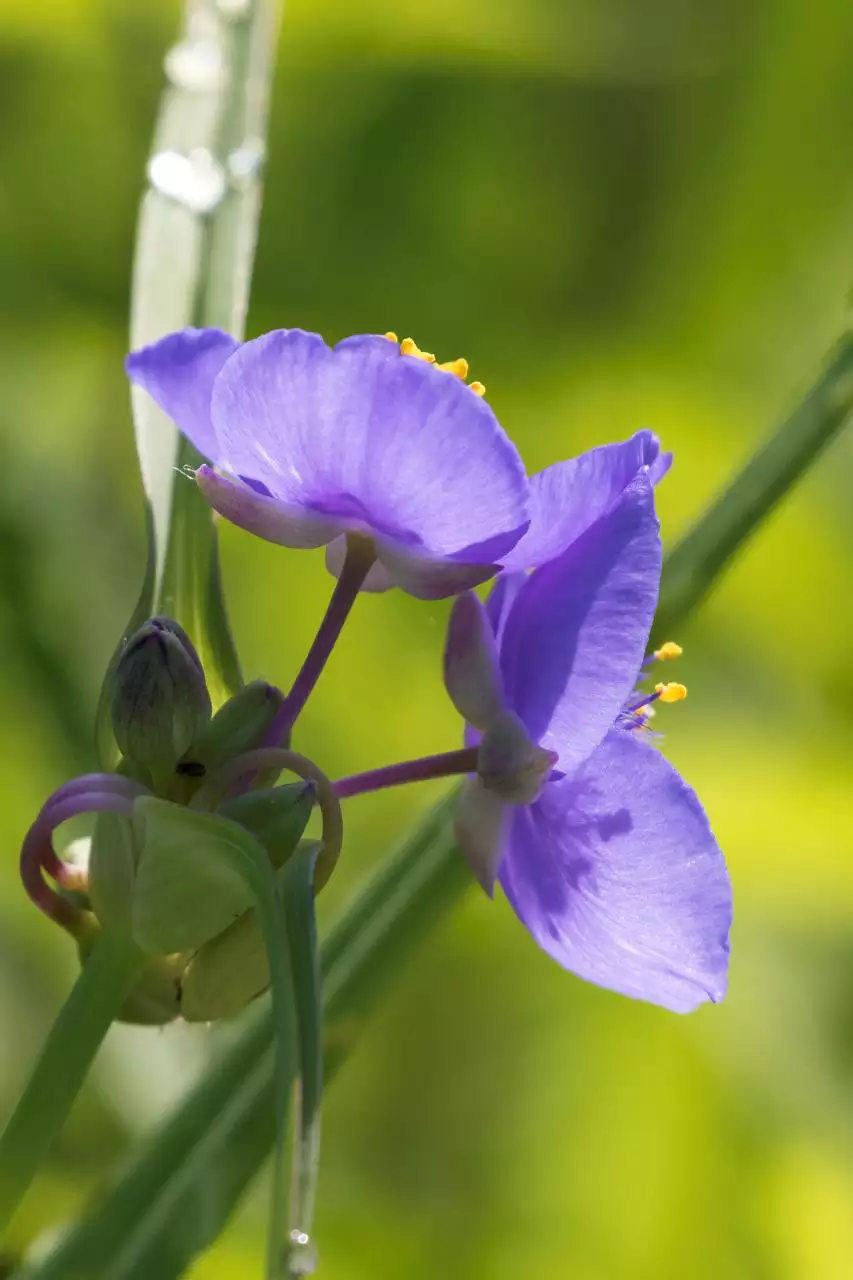 免费测夫妻八字合不合 免费测算命中子嗣