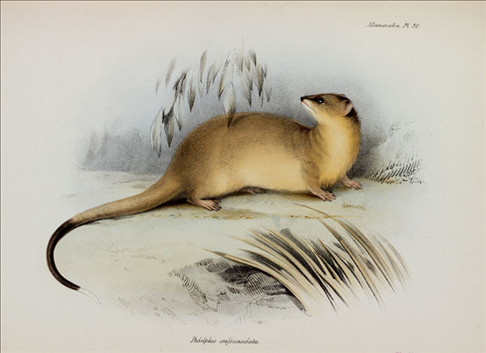 2生肖每日运势天天看