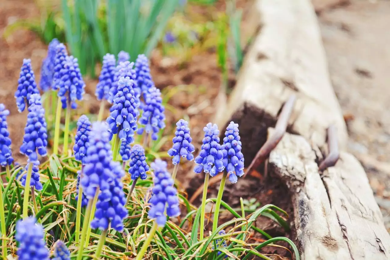 农历八字算命免费算命大全 农历算命最准免费婚姻