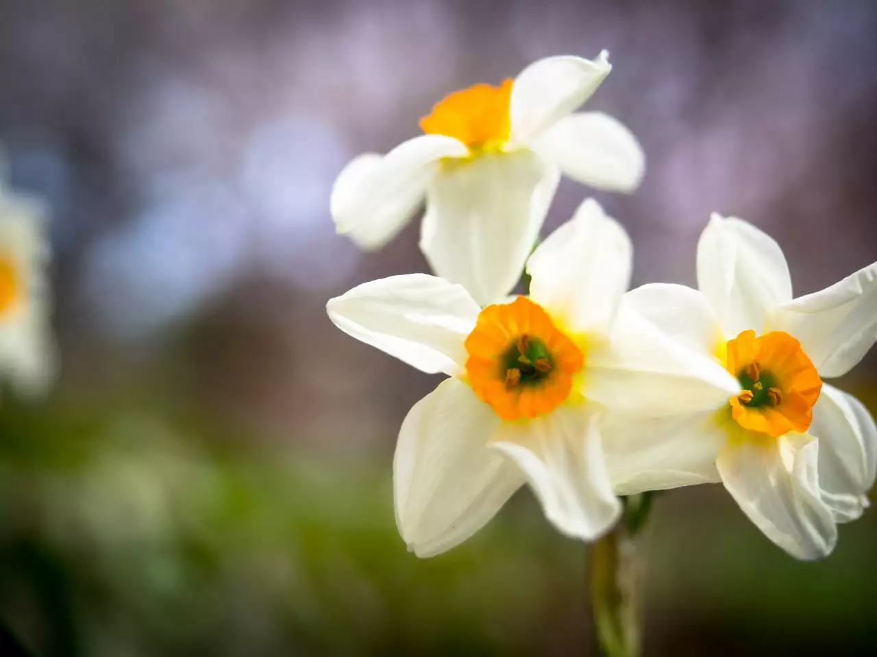 为什么我的运气会一直这么差 如何让自己运气旺起来