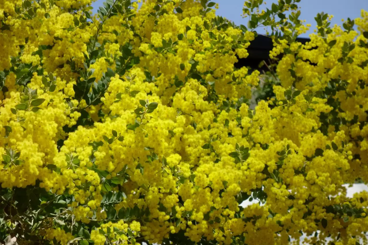 十二种运气分别是什么 八字算命中最惨的三种