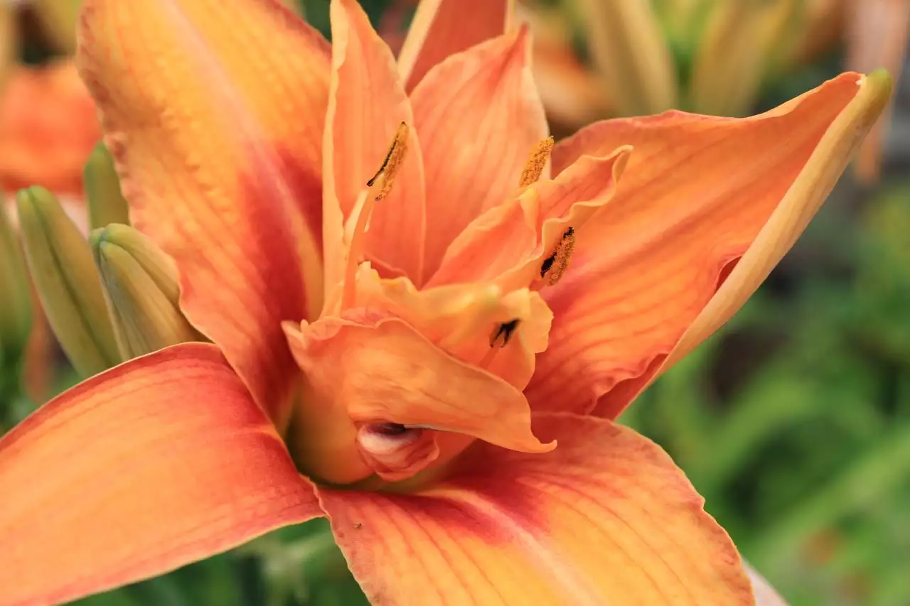 工作运气不好怎么化解 最厉害的转运方法