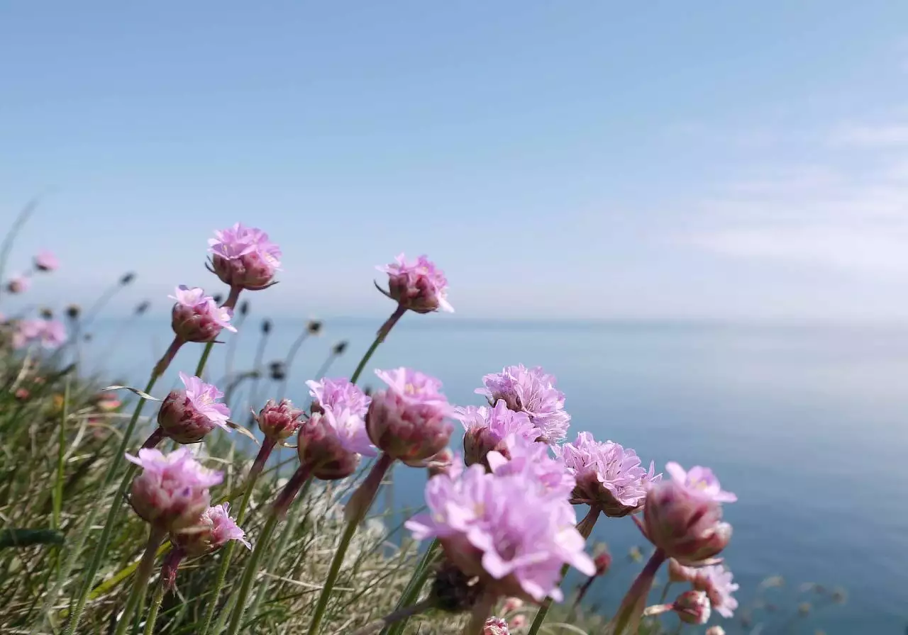 感觉事事不顺怎么化解 如何化解工作生活中的不顺