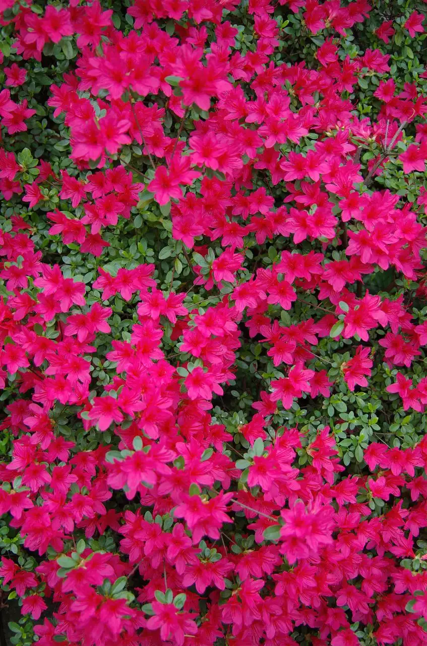 免费算姻缘八字算命运 拆八字算命运