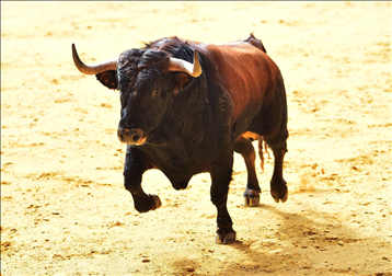 十二生肖下周一周运势 生肖运势一周查询