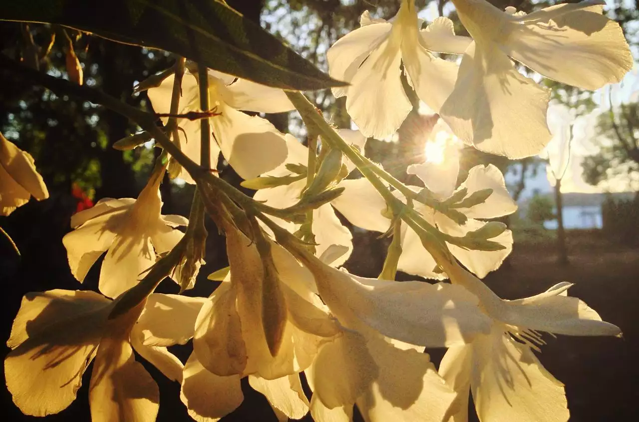 免费测试一生命运好不好 八字命运简批免费