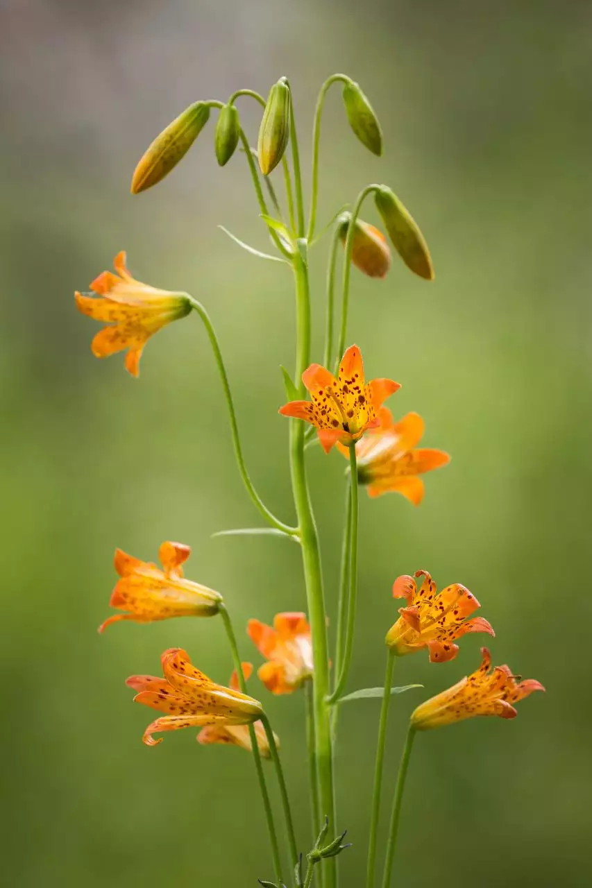 塔罗测试你真正的姻缘 塔罗测试我们的缘分