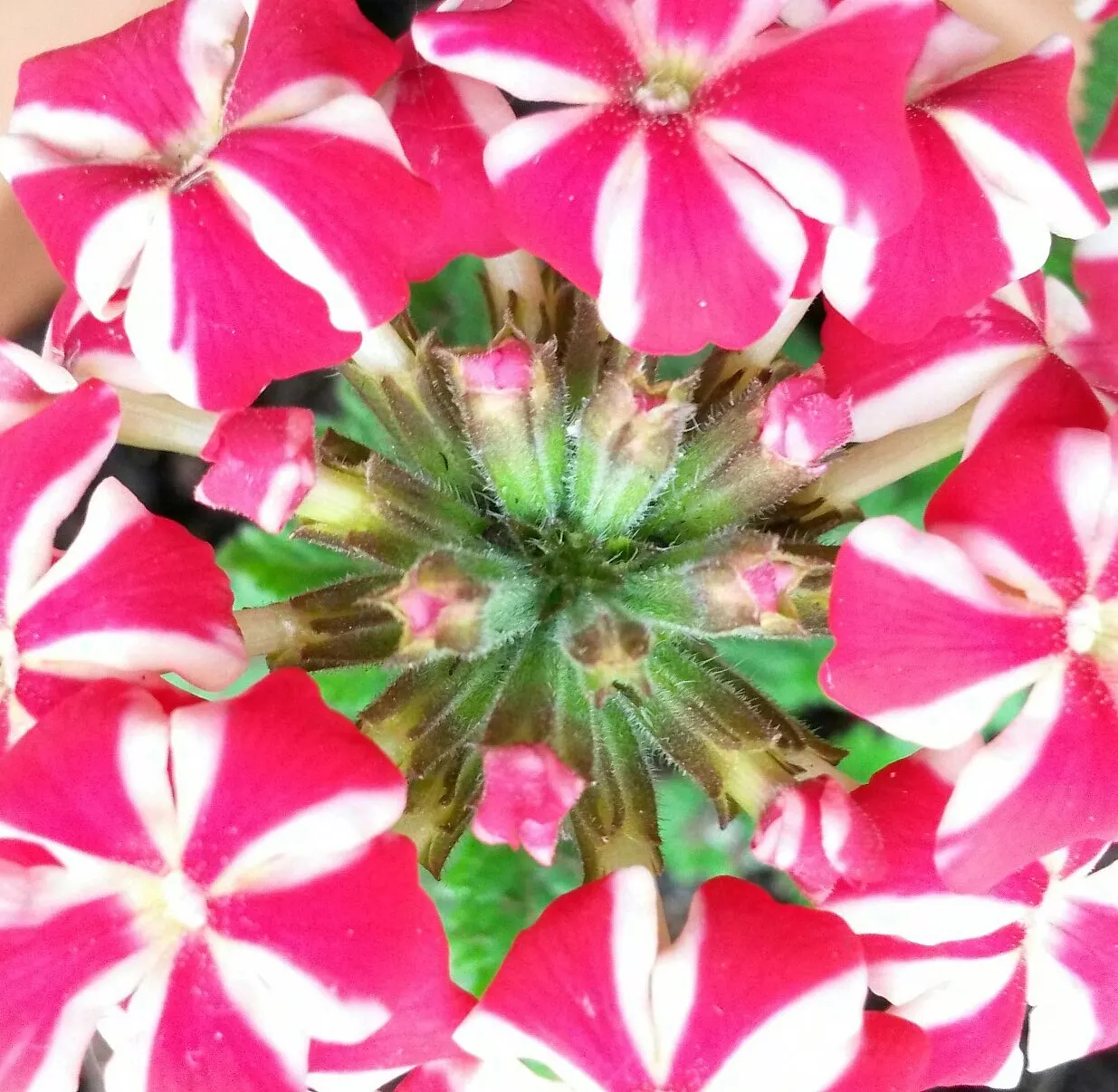 今日运程每日运势查询水墨先生 今天运势水墨先生