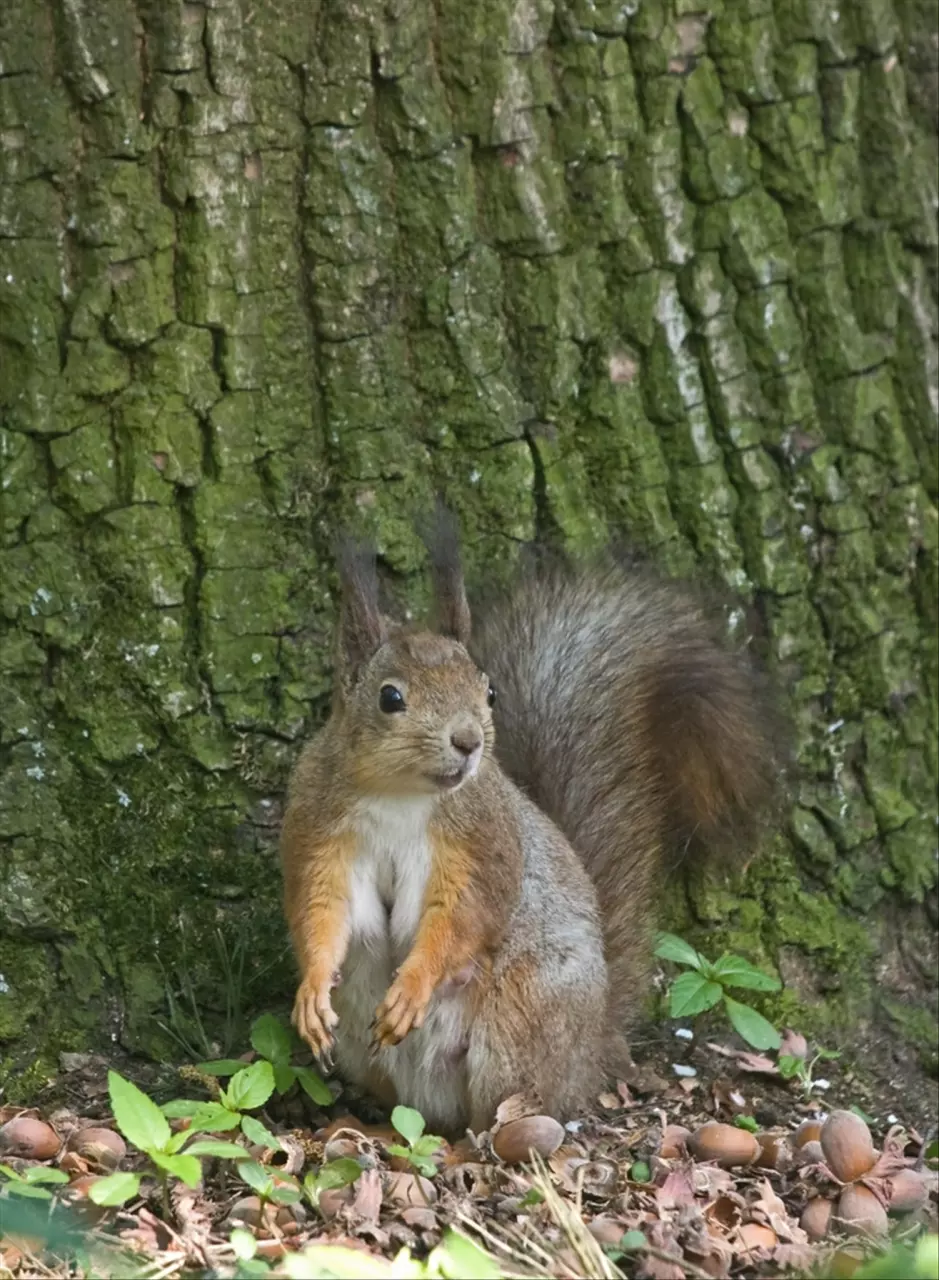 984属鼠38岁后有十年大运