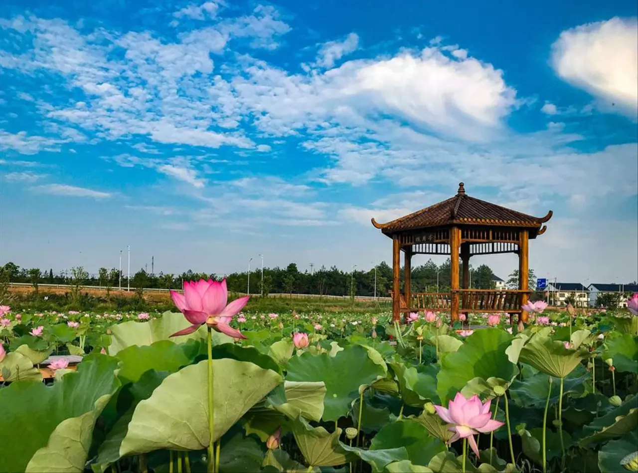 免费算命八字算命婚姻 男女八字子女要相配同步