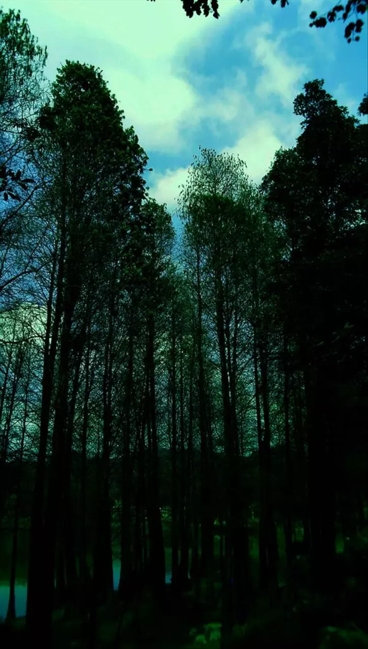 生辰八字测名打分免费 生辰八字起名字方法