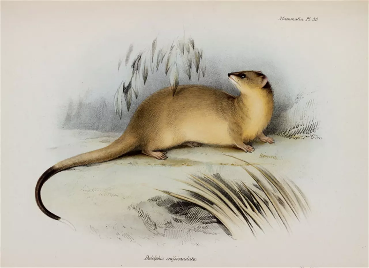 972属鼠2022年全年运程