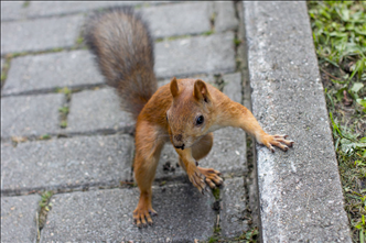 984属鼠38岁后有十年大运