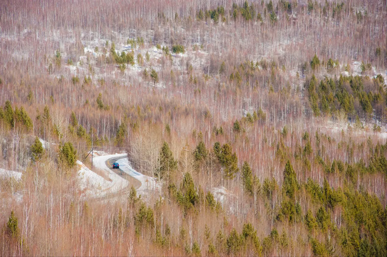免费算命何时怀孕生子 免费算命何时怀孕