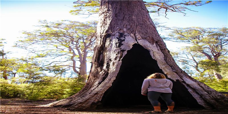 最近十天黄道吉日开业开张（2021年11月20日更新）