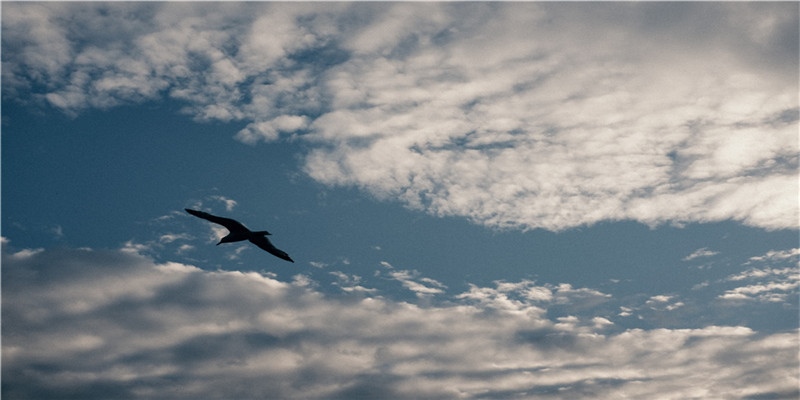 2021年生肖属兔3月入宅好不好本月最好的乔迁日子