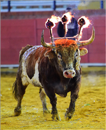 属牛人2022年全年运势 属牛人2022年财运运势