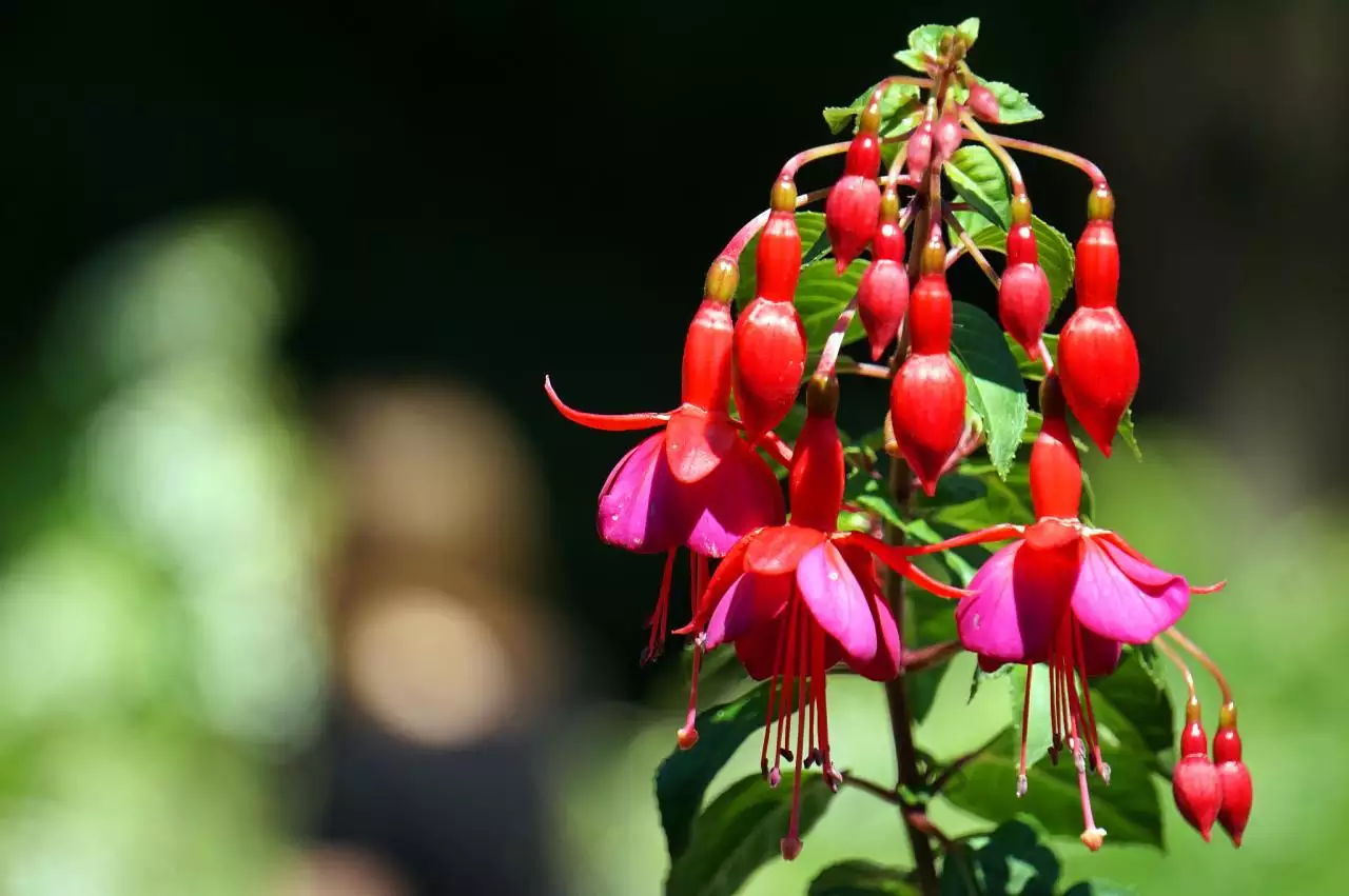 已经确认有生命的星球 太阳系最恐怖的星球