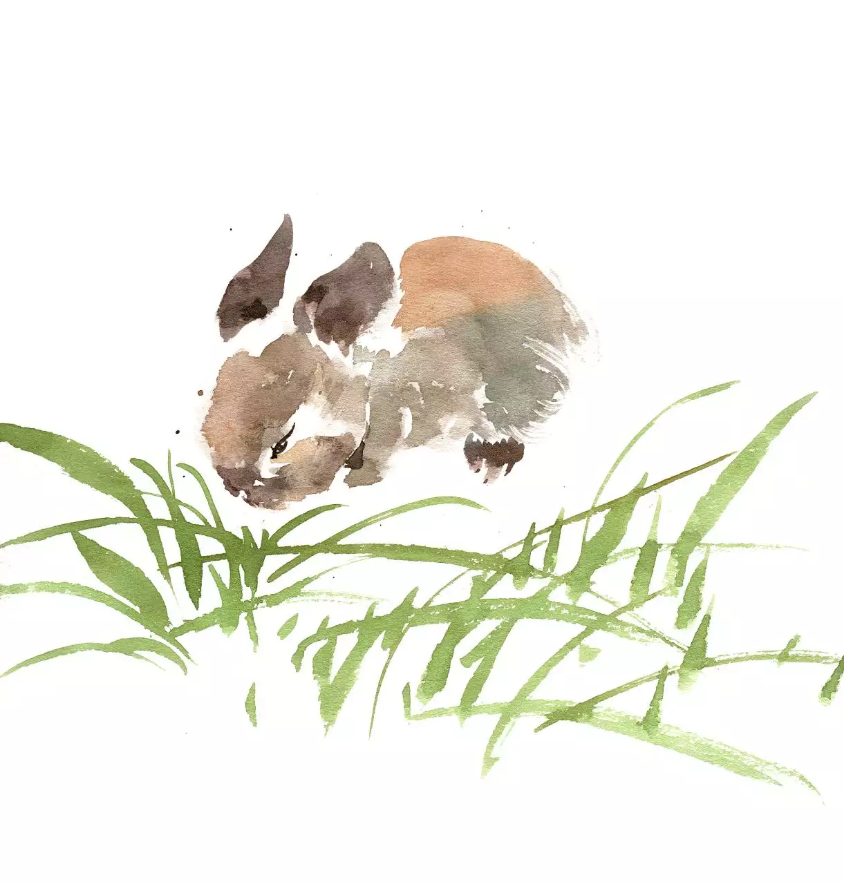 属兔2022年谁都躲不过的劫难 2022年属兔人运势详解