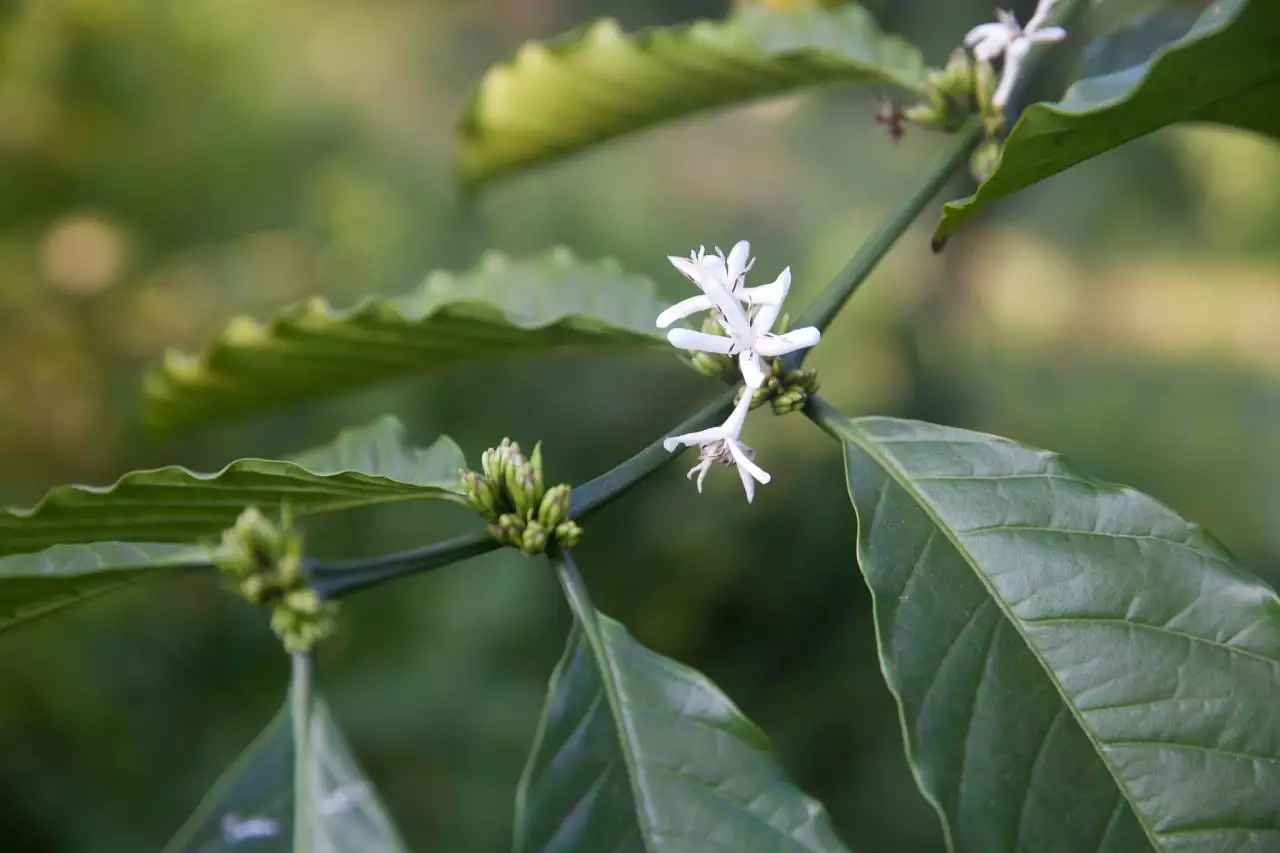 妈妈给女儿最暖心短句 送给宝贝女儿唯美句子