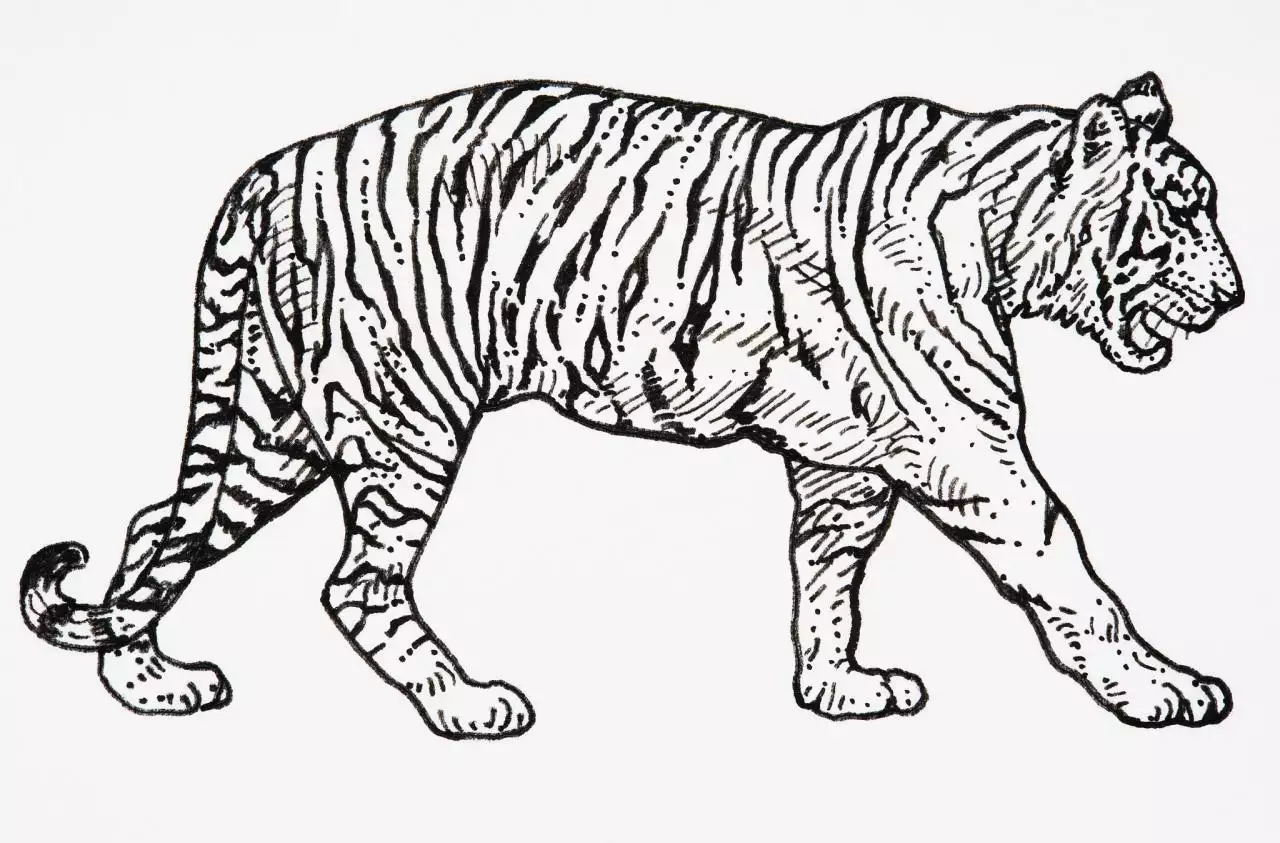 2属相金木水火土对照表