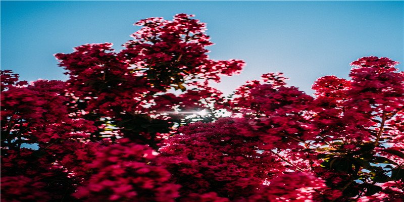 1610763104370773.jpg 2020-11-10_113524.jpg