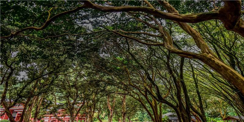 2021年11月适合属猪乔迁新居的日子 入宅吉日吉时查询