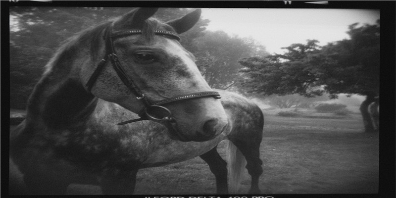 2020年2月4号正月十一立春订婚好吗，是黄道吉日吗